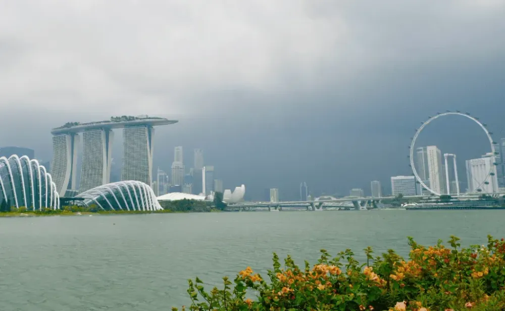 Rainy Singapore skyline with MBS-building, Gardens by the bay, the financial center, Singapore Flyer and flowers in the foreground